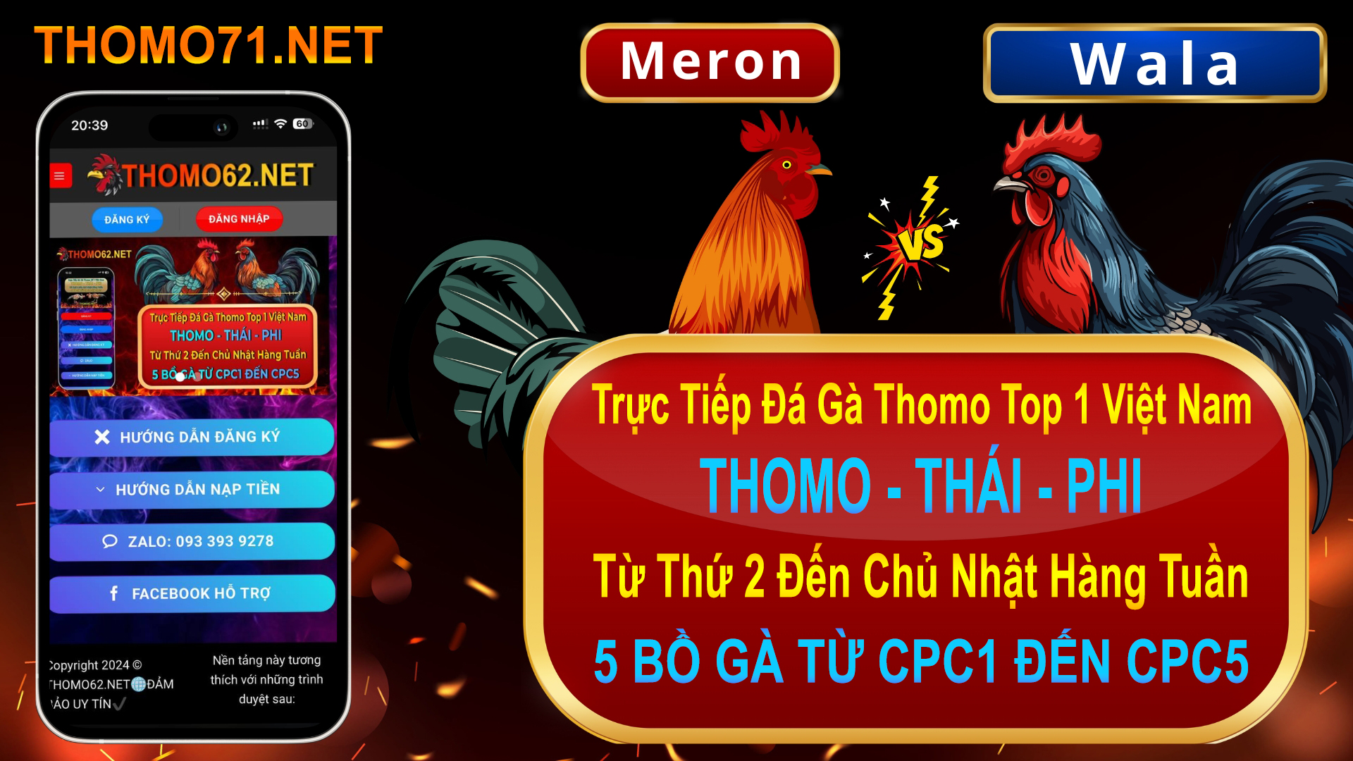 THOMO71.NET - Nhà cái trực tiếp đá gà thomo top 1 Việt Nam